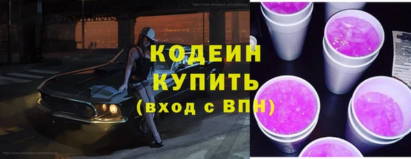 стафф Ельня