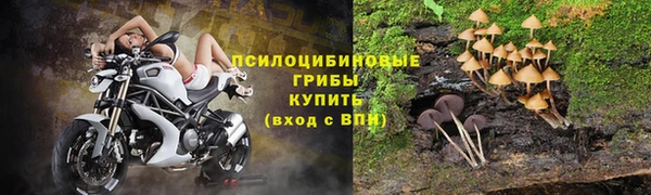 сатива Арсеньев