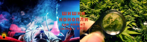 сатива Арсеньев