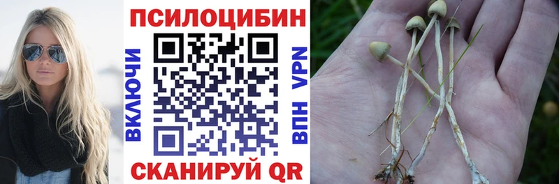 Псилоцибиновые грибы GOLDEN TEACHER  Советский 